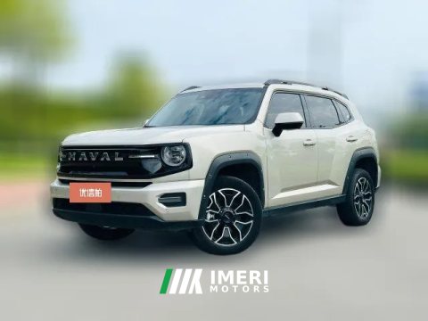 2025 Haval Big Dog Plus PHEV 2026 Hi4 150km Tide electricityEdition