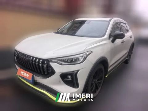 2022 Haval Chitu 2021 1.5T AT ProvokingEdition golden rabbit