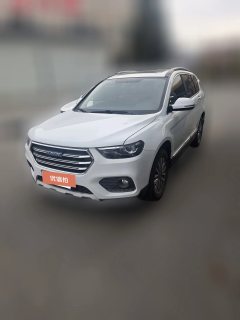 2018 Haval H6 2017 1.5T MT Blue LabelSportPremium FWD #1