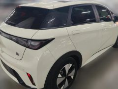2023 BYD Dolphin 2024 Glory 302km vitalityEdition #6