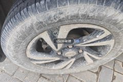 მარჯვენა უკანა დისკი