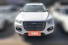 2020 Haval H6 2020 2.0T AT PlatinumChampion #2