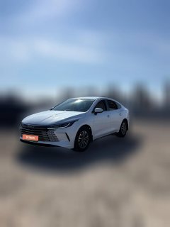 2025 BYD Destroyer 05 2025 DM-i 55KM smooth travelEdition #1
