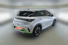 2022 BYD Dolphin 2021 405km Fashion #3