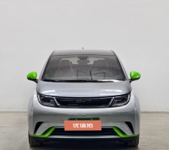 2022 BYD Dolphin 2021 405km Fashion #2