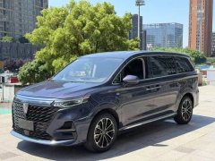 2021 Roewe iMAX8 2021 2.0T AT 400TGIFlagship #8