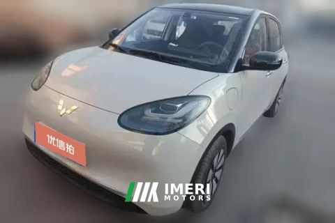 2024 Wuling Motors Wuling Bingo 2024 333km Joy