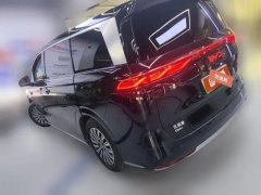 2025 BYD Xia 2025 DM-i 1.5T AT 100km Surpass #7