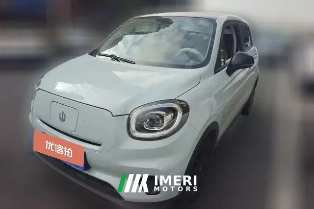 2024 Leapmotor T03 2023 310Enjoy lightlyEdition