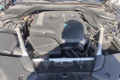 2020 BMW 5 Series 2020 2.0T AT 525Li MSport Pkg #10
