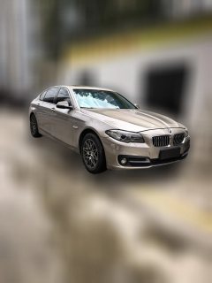 2015 BMW 5 Series 2014 2.0T AT 525LiLeading #3