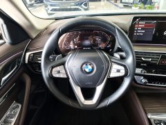 2021 BMW 5 Series 2021 Facelift 2.0T AT 530Li xDrive Luxury Pkg #8