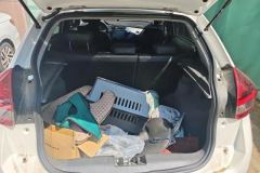2021 Chery Tiggo 3x 2021 1.5 AT PLUSHappy red datesEdition #4