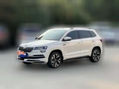 2023 Škoda Karoq 2023 TSI280 Zhi YaoEdition #1