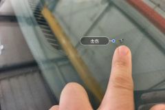 Windshield