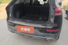2019 Haval H6 2020 1.5T AT PlatinumChampion #4