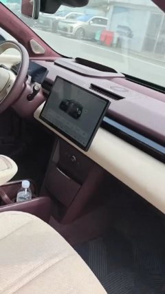 2025 Zeekr X 2025 5Seat RWDEdition #5