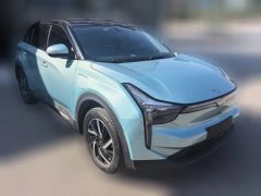 2022 Neta U 2021 Facelift Pro 400 industryCustom #4