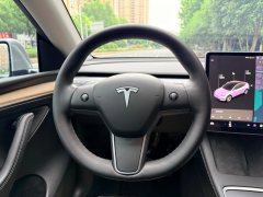 2021 Tesla Model Y 2021StandardBattery lifeRWDEdition #14