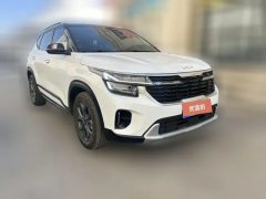 2025 Kia Seltos 2023 1.5L AT CVTLuxury #3