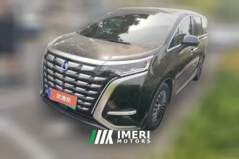 2023 Denza D9 2022 1.5T AT DM-i 970 4WDHonor