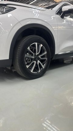 2024 Haval H6 2022 No.3generation 1.5T AT 2WDPro #15