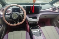 2022 BYD Dolphin 2021 405km Fashion #12