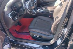 2020 BMW 5 Series 2020 2.0T AT 525Li MSport Pkg #9