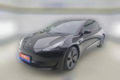 2021 Tesla Model 3 2021 StandardBattery lifeRWDUpgradeEdition 3D6 #1