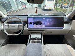 2025 Lynk & Co Lynk & Co 900 2025 2.0T Ultra #9