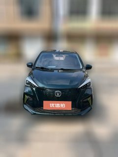 2021 Chang'an Benben E-Star 2020 HeartbeatEdition NMC #3