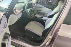 2022 BYD Dolphin 2021 405km Fashion #9