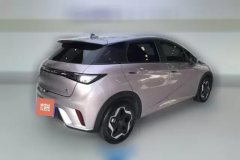 2022 BYD Dolphin 2021 405km Fashion #3