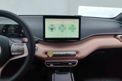 2025 BYD Seagull 2025 305km vitalityEdition #13