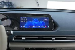 2024 Ora Good Cat 2024 401km Luxury #13