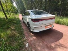 2020 BYD e3 2020 400travelEdition EV #8