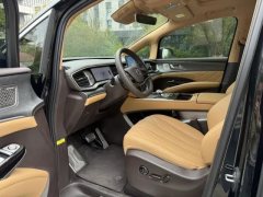 2025 Denza D9 2025 DM-i 4WDZunhang #3