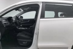 2019 Chery Tiggo 8 2019 1.6T AT GDIElite #13