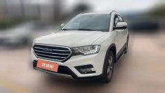 2017 Haval H6 Coupe 2016 Blue Label 1.5T AT 2WDElite #1