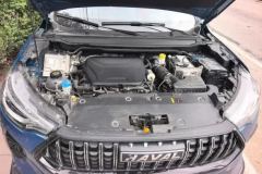 2021 Haval Chitu 2021 1.5T AT ProvokingEdition Platinumrabbit #10