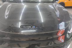 Engine Hood