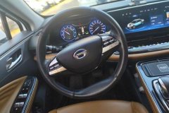 2020 Aion S 2019 Charming 530 EV #15