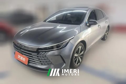 2024 BYD Destroyer 05 2024 Glory 1.5L AT DM-i 120KM Flagship