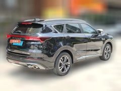2021 Jetour X70 Plus 2021 1.6T DCTland 6Seat #2