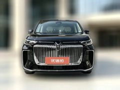 2024 Voyah Dreamer 2025 1.5T AT PHEV 4WDFlagshipKunpengEdition #2