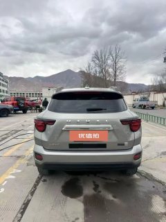 2023 Haval Big Dog Plus 2023 1.5T AT 2WDShionoEditionplus #8