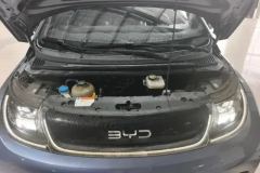 2024 BYD Dolphin 2024 Glory 420km Fashion #10