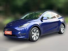 2021 Tesla Model Y 2021StandardBattery lifeRWDEdition #1