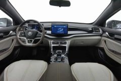 2023 BYD Qin Plus 2023 Champion EV 510KMSurpass #14
