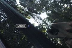 Windshield